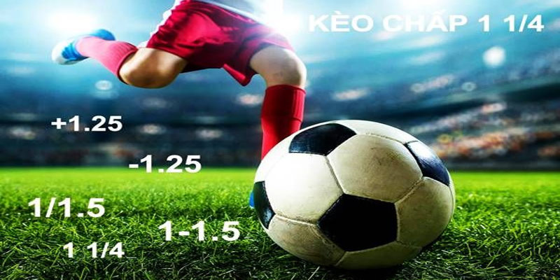 Tìm hiểu kèo 1/1.5 cược handicap là gì
