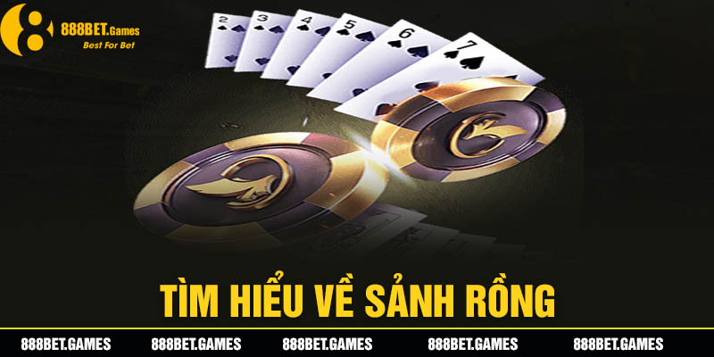 Sảnh Rồng Là Gì - Giải Đáp Mọi Thắc Mắc Cho Người Chơi