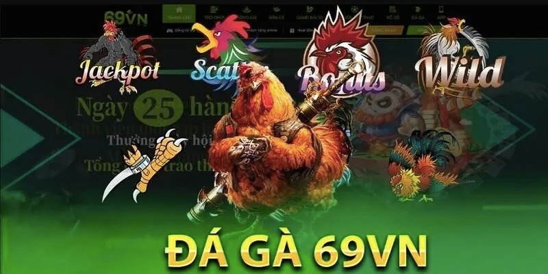 Đá gà 69VN: Trải nghiệm kịch tính hấp dẫn tại nhà cái 69VN