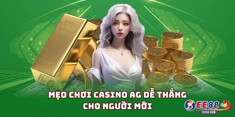 Hướng dẫn nhanh cách chơi AG Casino tại EE88 cho người mới