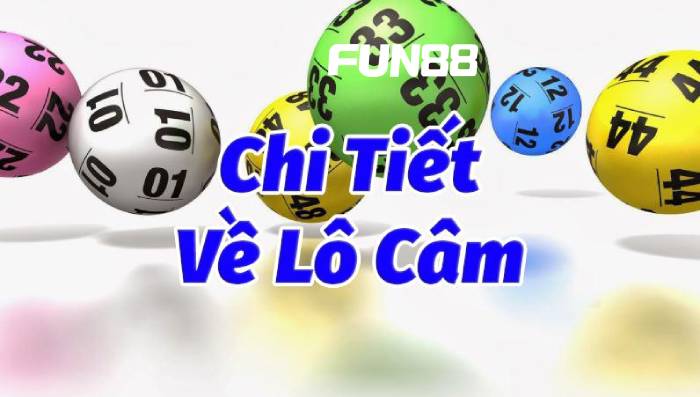 Lô câm là gì? Tiết lộ phương pháp đánh lô câm cực hiệu quả 2 Các dạng lô câm thường gặp