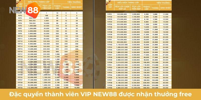Đặc quyền thành viên VIP NEW88 được nhận thưởng free
