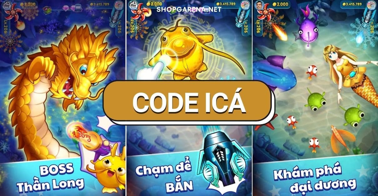 Code Ica