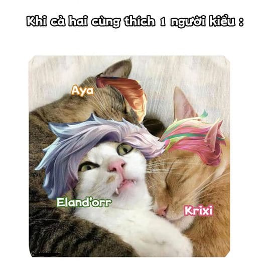 Hình Aya chế vui