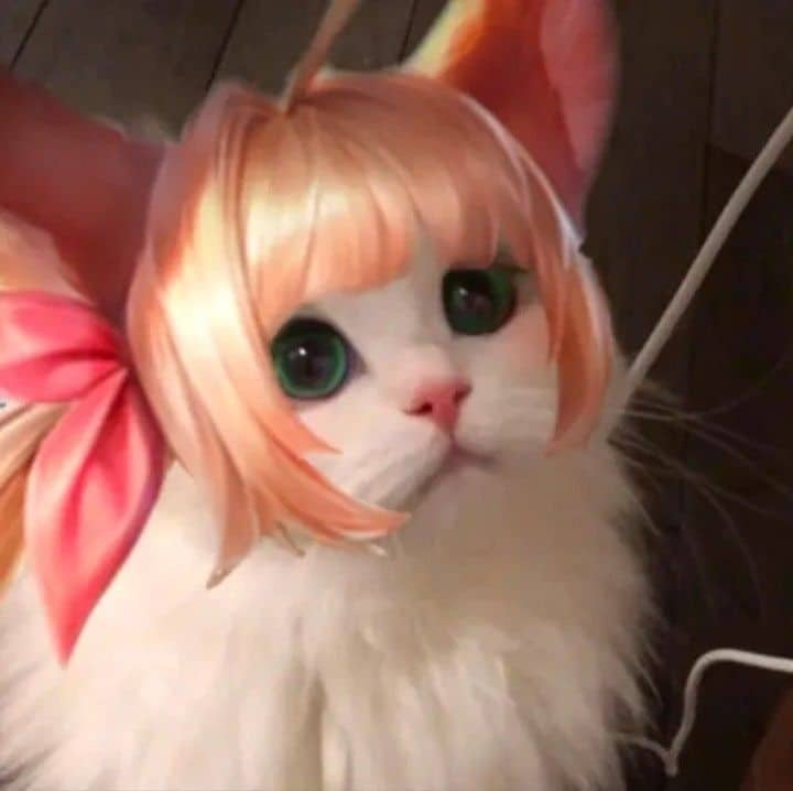 Hình mèo Liên Quân Aya cute
