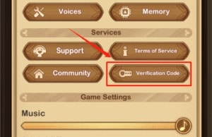 Chọn Verification Code