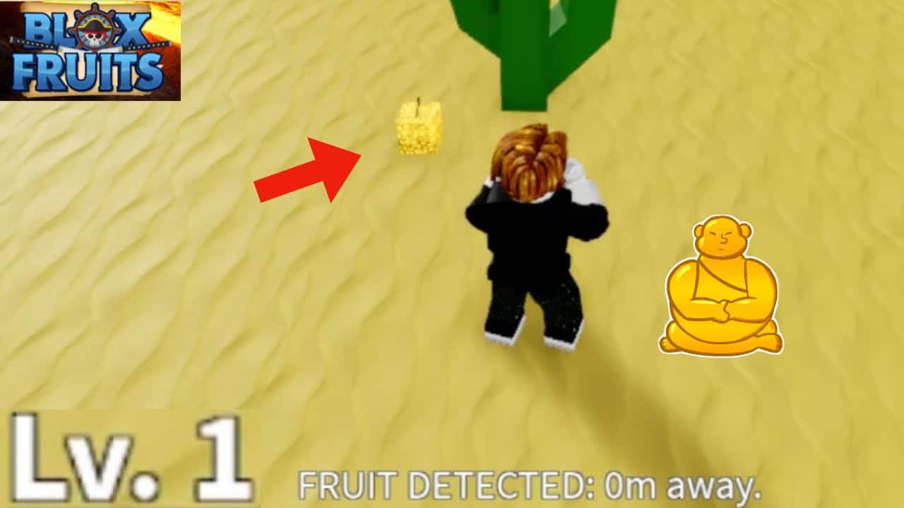 Hình ảnh tìm được trái Phật Tổ Blox Fruit