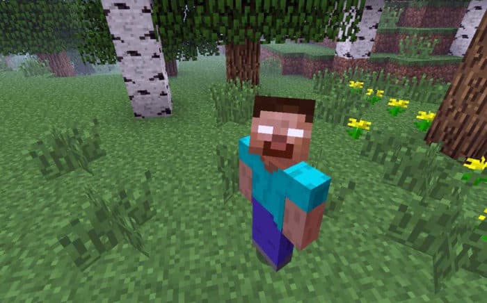 Ảnh Herobrine Minecraft độc đáo
