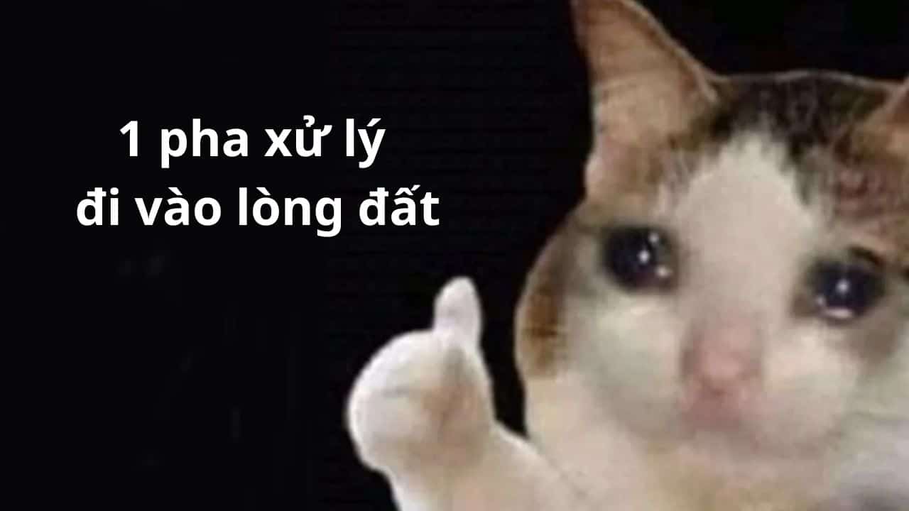 Anh Che Con Meo Khoc Like