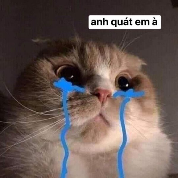 Anh quát em à