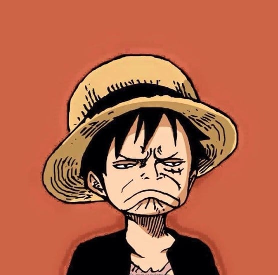 Avatar Luffy Bua Vui