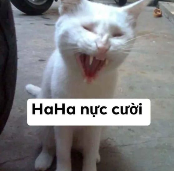 Chú Mèo Cười Đểu
