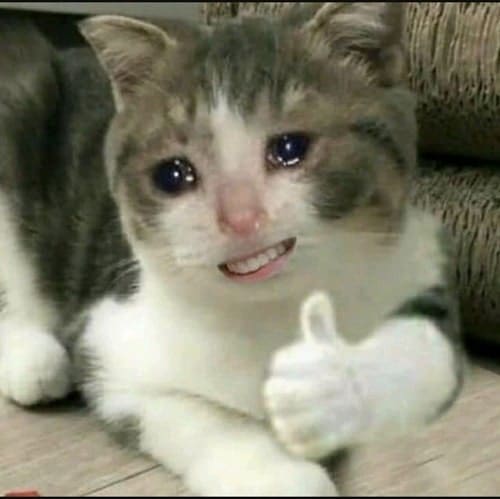 Con Meo Khoc Like