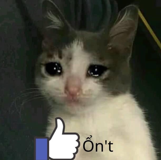 Hình Chế Con Mèo Vừa Khóc Vừa Like