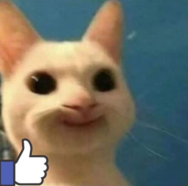 Hình Chế Mèo Like Bựa