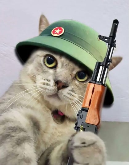 Hình Con Mèo Đội Mũ Cối Cầm Súng Ngầu