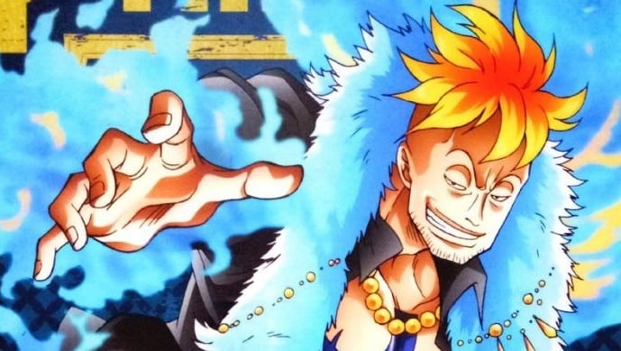 Hình Marco One Piece Đẹp Nhất