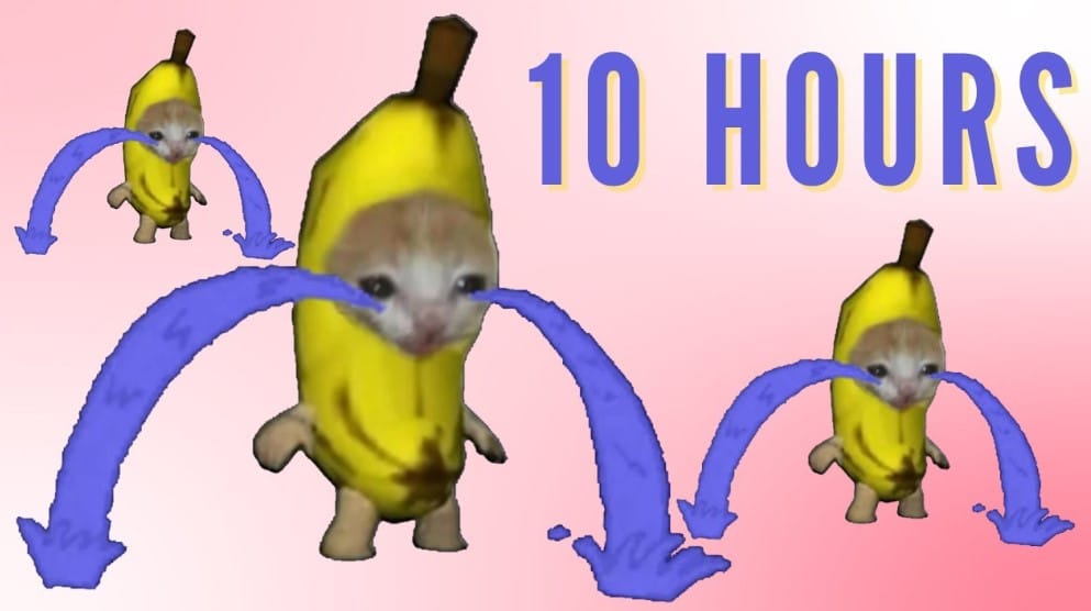 Hình Meme Mèo Khóc Chuối