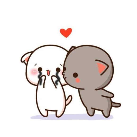 Hình Mèo An Ủi Nhau Dễ Thương
