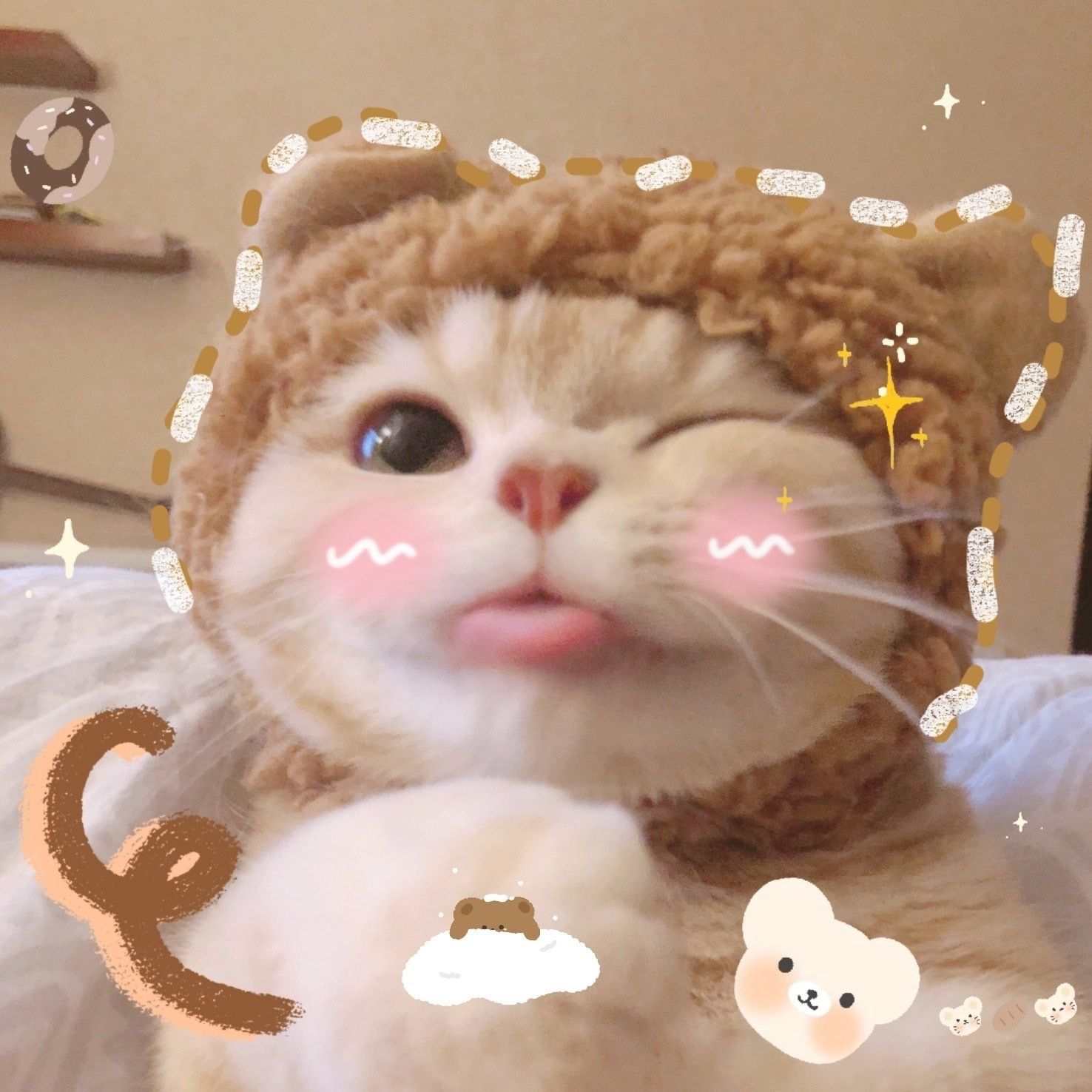 Hình Mèo Cute Meme