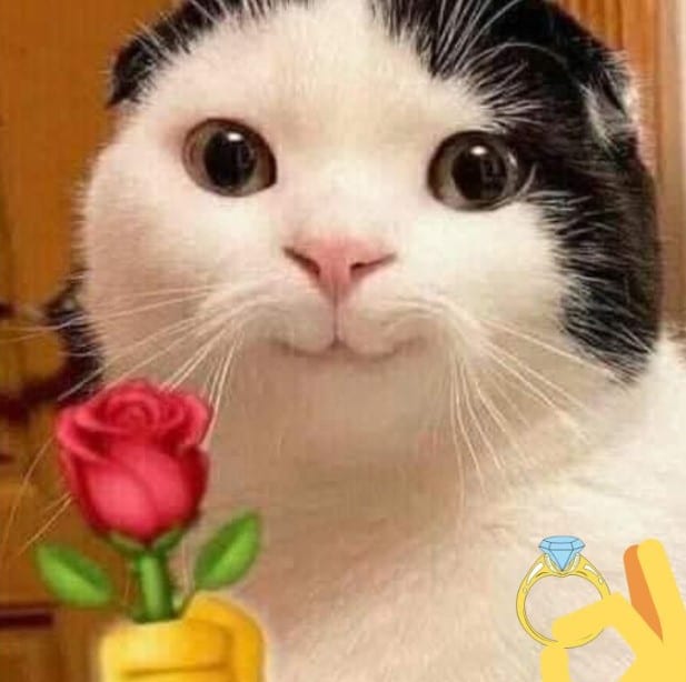 Hình Mèo Tặng Nhẫn Bựa