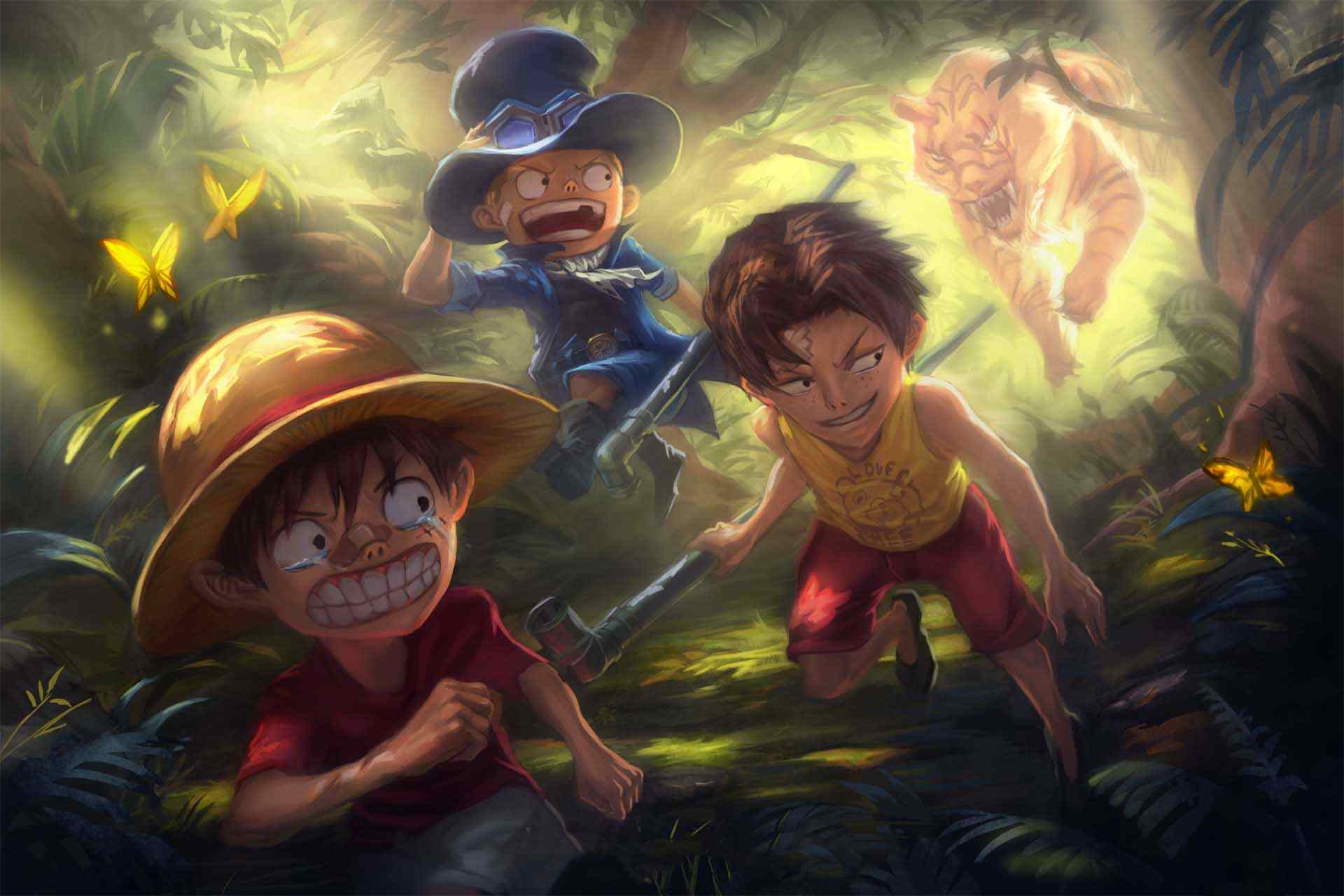 Hình One Piece Siêu Cute