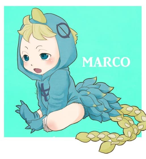 Marco Chibi Dễ Thương