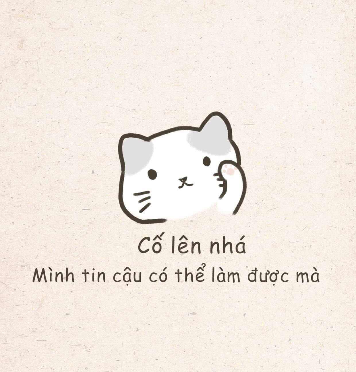 Meme Mèo Cố Lên