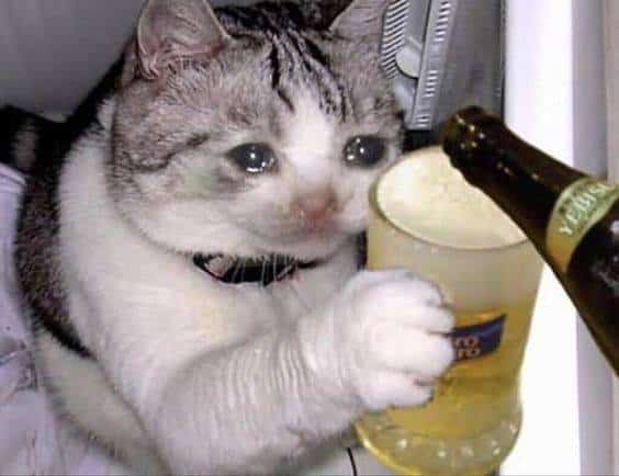 Meme Rót tiếp đi