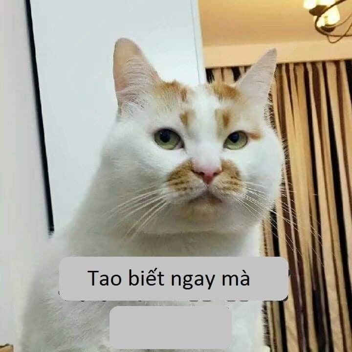 Meme Tao biết ngay mà