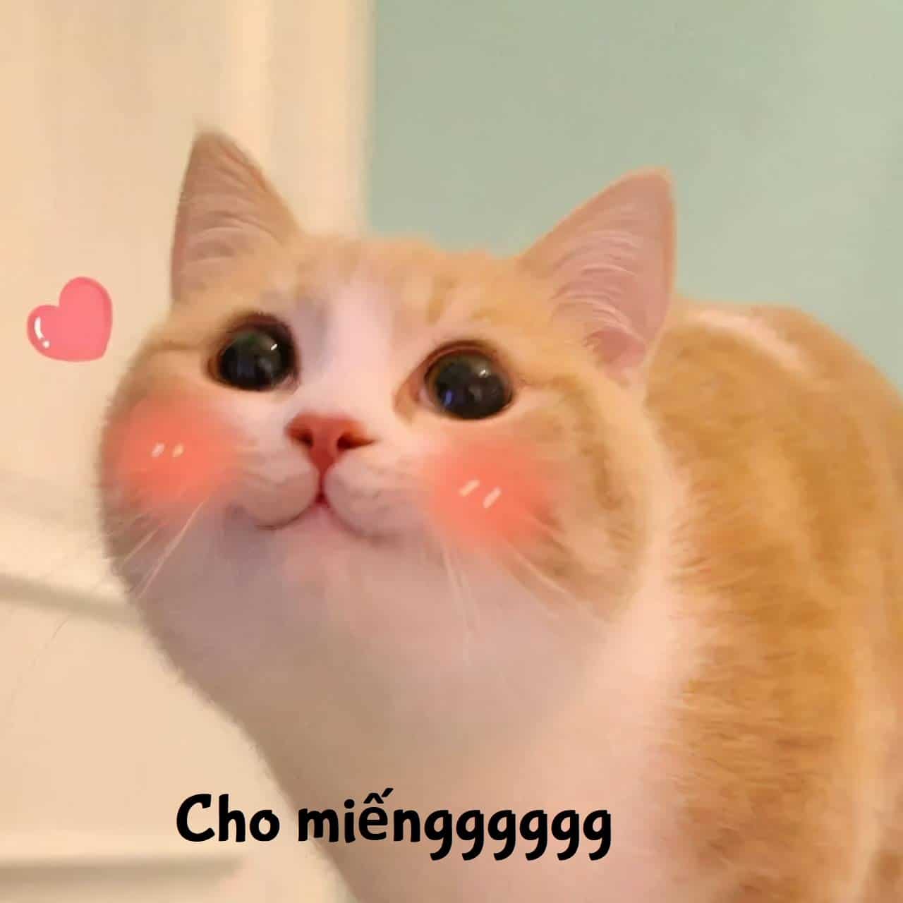 Mèo Yêu