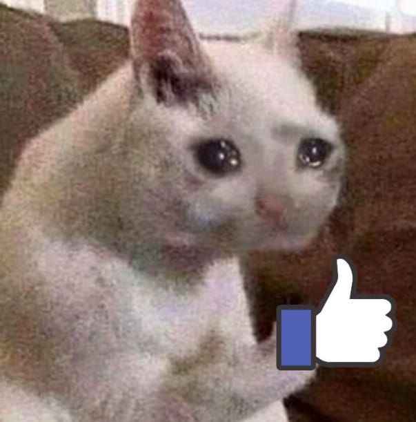 Mèo khóc giơ tay like