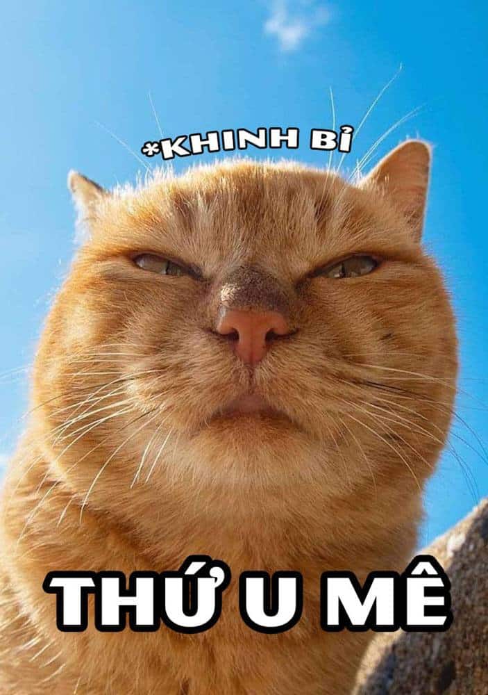 Thứ u mê