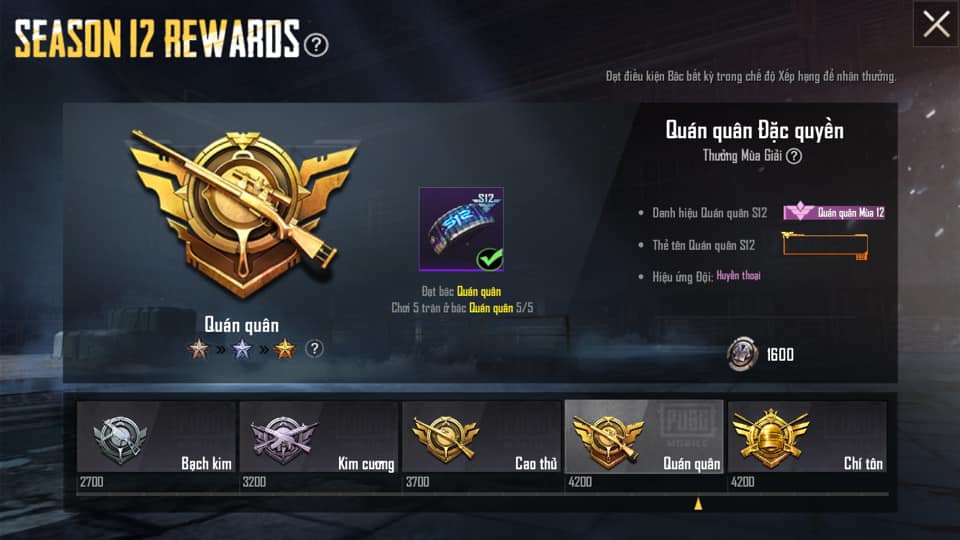 Ảnh Rank Quán Quân Pubg cực ngầu