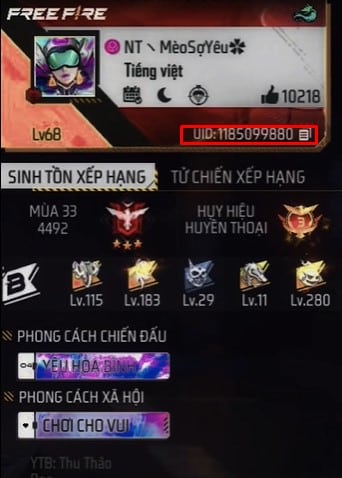 ID FF Của Mèo Sợ Yêu