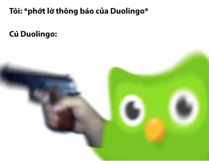 Ảnh chế Duolingo hài hước