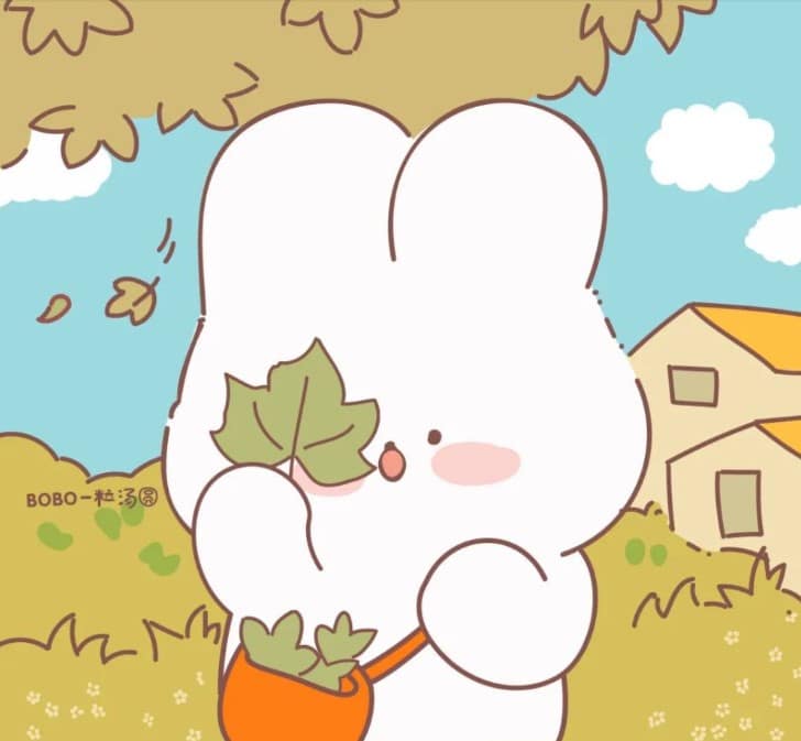 Hình avatar Wechat siêu dễ thương