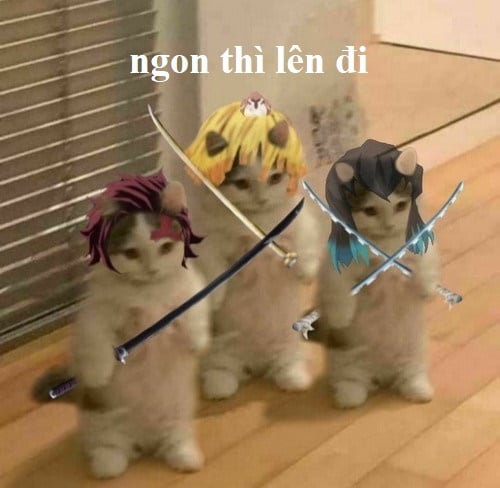 Ảnh mèo Meme Free Fire bựa