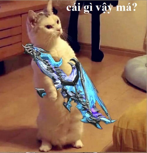 Ảnh mèo Meme Free Fire ngạc nhiên chưa