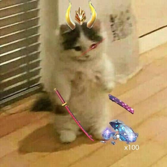 Ảnh mèo Meme Free Fire ngầu
