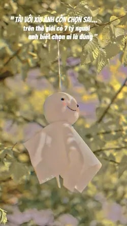 Hình ảnh giữa tài và xỉu anh còn chọn sai cute