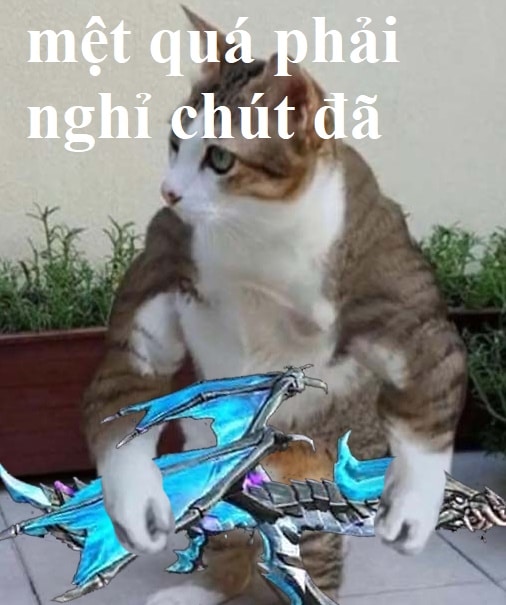Hình chế meme Free Fire mèo hài