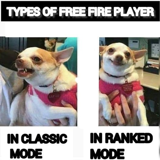 Hình meme Free Fire chế vui