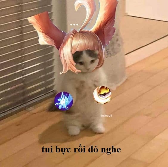 Hình Aya mèo meme Liên Quân