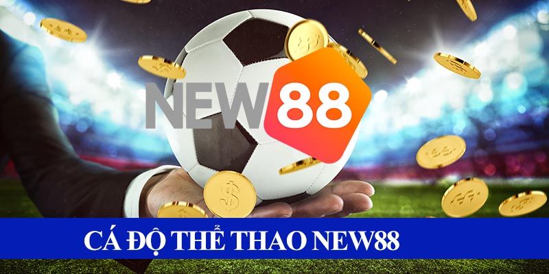 Bước 2: Đăng nhập New88