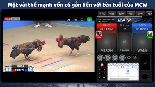Một vài thế mạnh vốn có gắn liền với tên tuổi của MCW