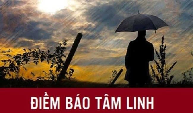 4. Cá đang nuôi bị chết