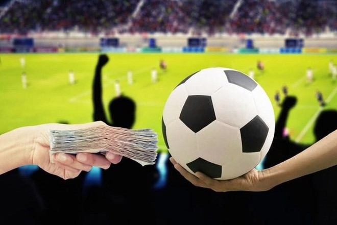 5. Sử dụng nhiều tipsters
