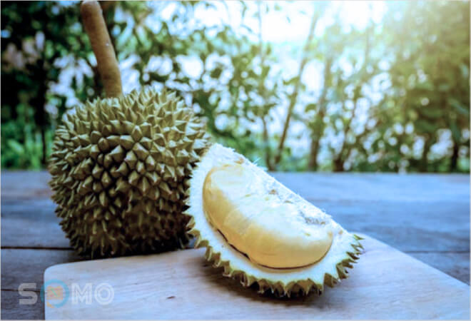 mơ thấy quả sầu riêng đánh lô đề con gì