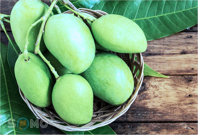 mơ thấy quả xoài đánh lô đề con gì